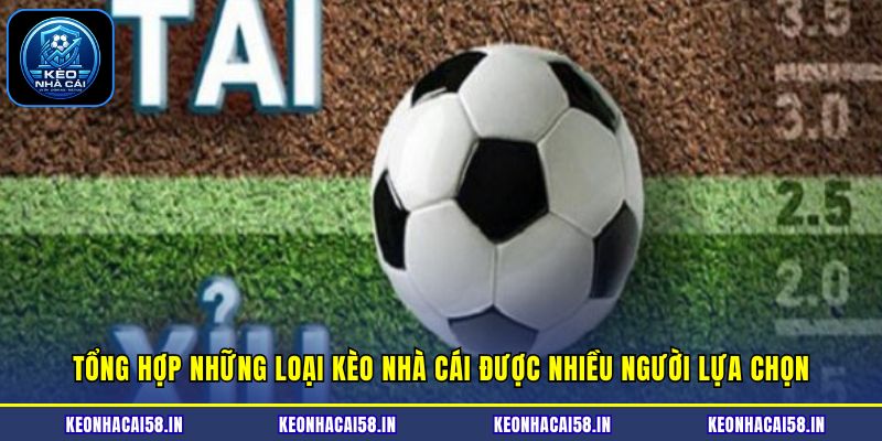 Kèo Nhà Cái 22 Tổng hợp những loại kèo nhà cái được nhiều người lựa chọn